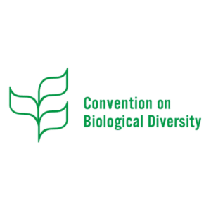 Untitled design (29)